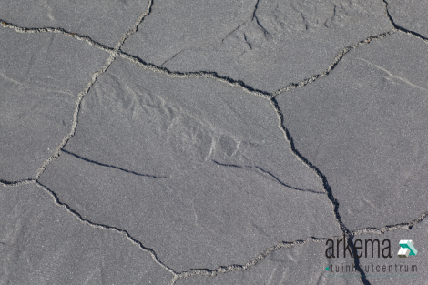 GeoArdesia Alivo Cannobio