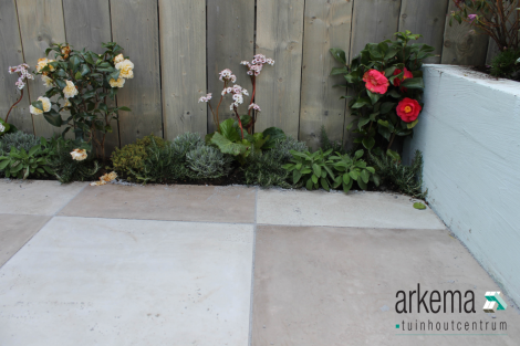 GeoCeramica® 60x60x4 Concreet Silver