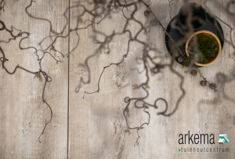 GeoCeramica® 120x30x4 Timber Tortera