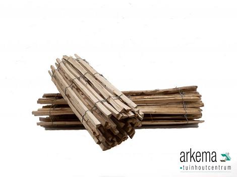 Kastanjeh.Hek. 90-460-5cm!