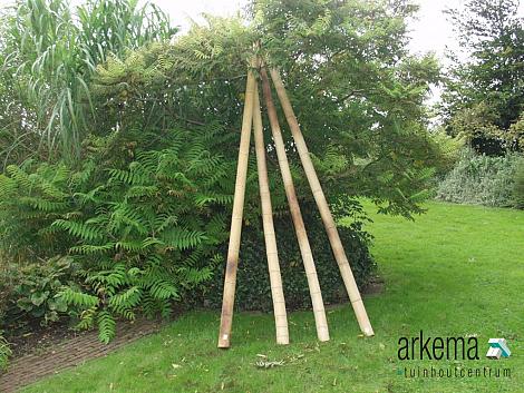 Bamboepaal 7-8 cm x 270 cm