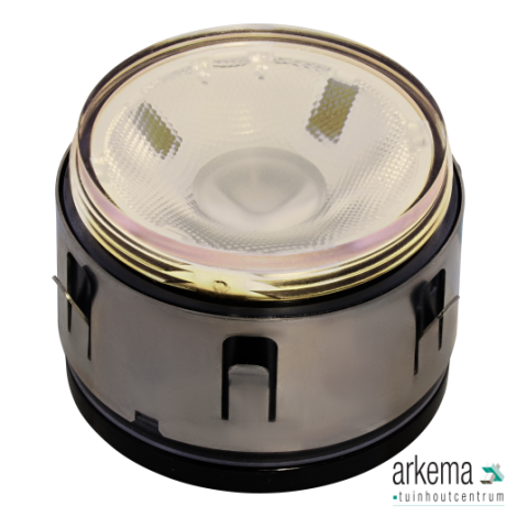 BIG FLUX 12V