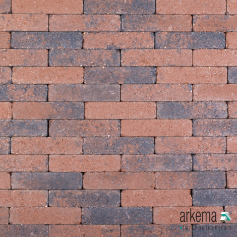ACTIONLINE Aardmonnik 20x5x7 (wf)