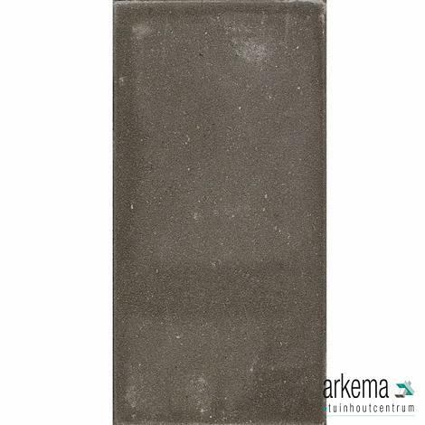 Betontegel Grijs 15 x 30 x 4,5