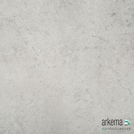 Gigant Silver Grey Grijs 59,5 x 59,5 x 2