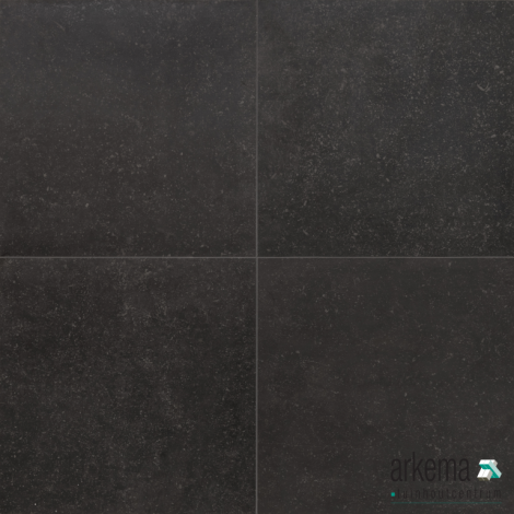 BLUE HOME 802 BLACK ANT 4PZ RT