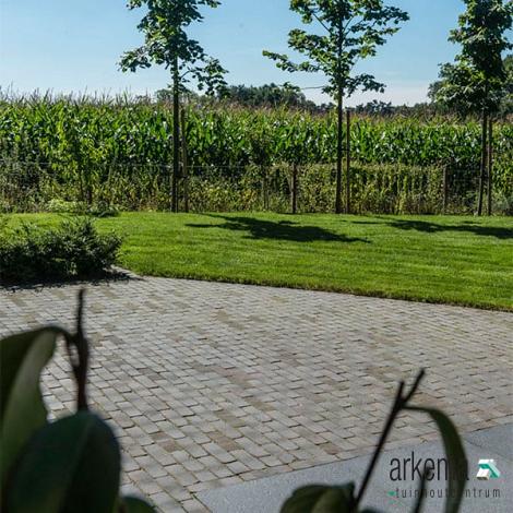 WF60 ISEO ANTICA ZWART-BRUIN
