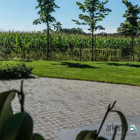DF60 ISEO ANTICA ZWART-BRUIN