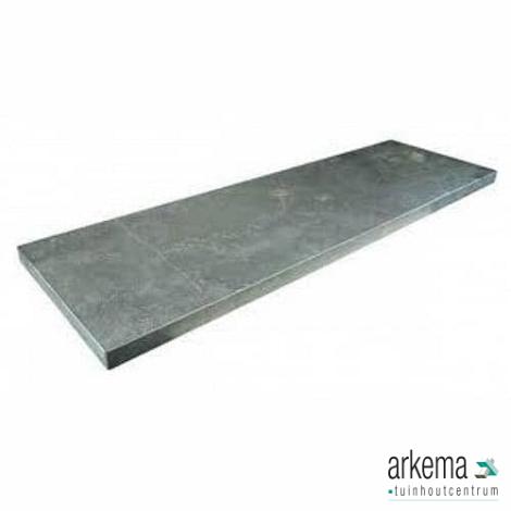 Siam Bluestone vijverrand 100x20x3 cm verzoet