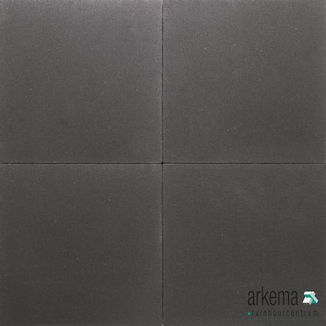 PREMITON PLUS XXS 60X60X4CM LA PALMA