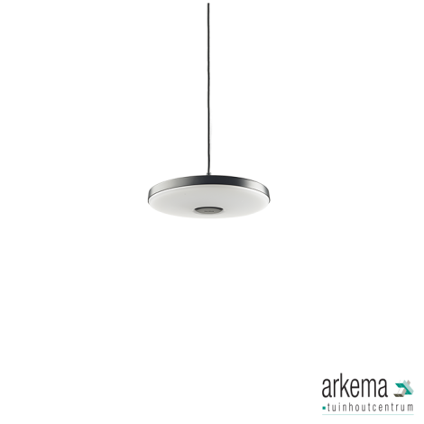 DISC PENDANT