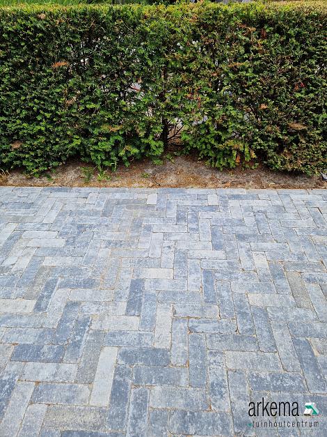 Antieke trommel dikformaat 6 cm oud dokkum