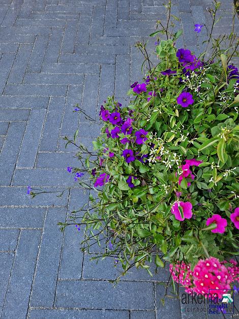 Dikformaat XL 28x7x8 cm antraciet (320 stuks per pak)