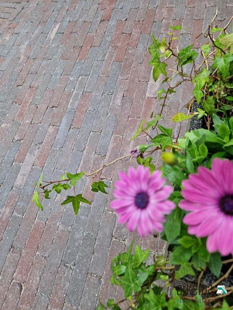 Stonique trommel waalformaat 7 cm groningerbruin
