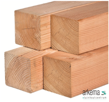 Douglas palen ongedroogd 15.0x15.0x500cm fijnbezaagd Let op! Overlengte mogelijk