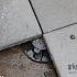 Accessoire tegeldrager Large: Oph.30m
