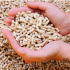 Hoyer Premium Hout Pellets 15kg