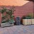 Straksteen 20x30x5 cm paars gv