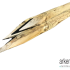 Perkoenpaal Ø 10 250 cm.