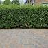 Betonstraatsteen 6 cm oud bussum komo