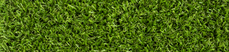 Kunstgras