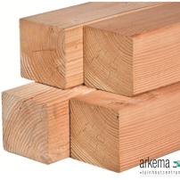 Douglas palen ongedroogd 15.0x15.0x500cm fijnbezaagd Let op! Overlengte mogelijk