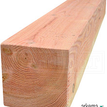 Palen douglas 250x250x5000mm vers fijnbezaagd (2ex)
