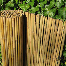 Bamboe rols. Dalian 35-200 cm