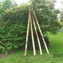 Bamboepaal 10-12 cm x 300 cm