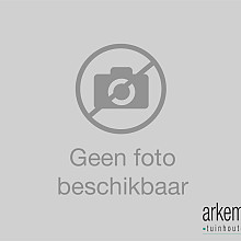 Berton©-paal Schelde antraciet gecoat, diamantkop 8,5 x 8,5 x 180 cm tussenmodel